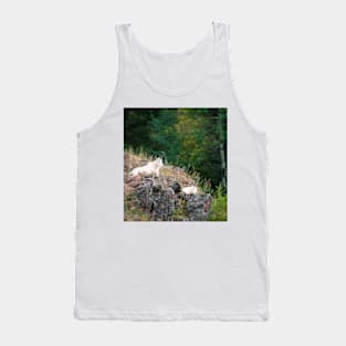 Montana Mountain Goats Tank Top